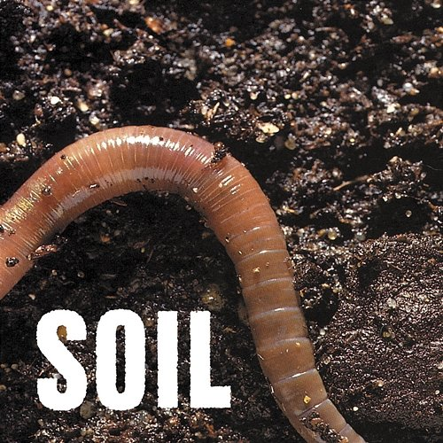 SOiL - EP SOiL