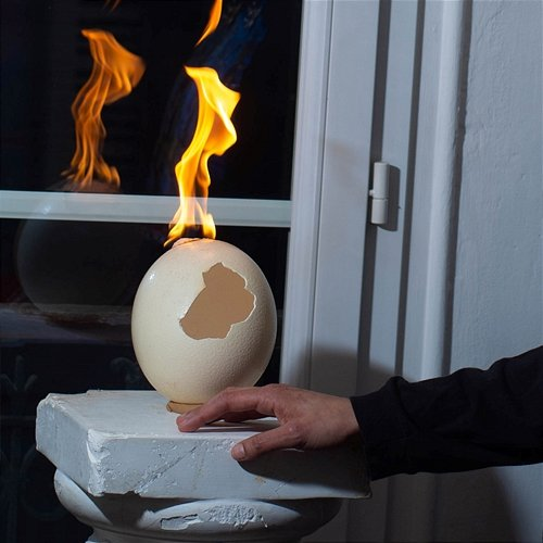 Soleil Mort Eloi