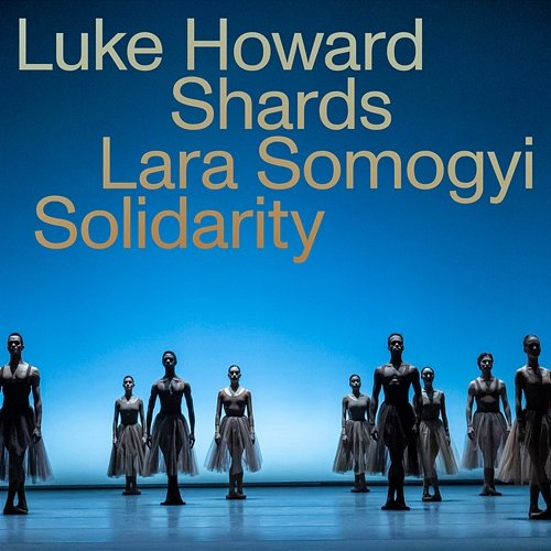 Solidarity Luke Howard, Shards, Lara Somogyi