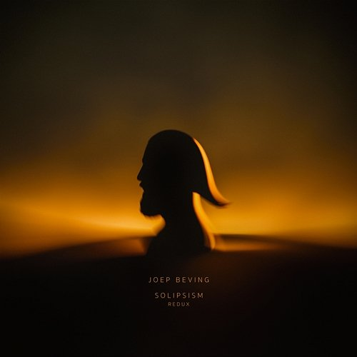Solipsism Redux Joep Beving