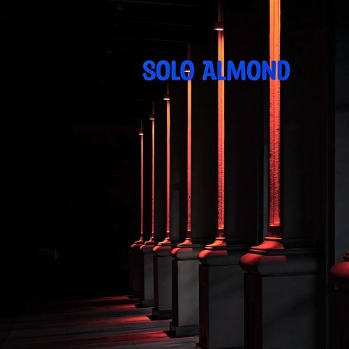 Solo Almond Dennis Winger