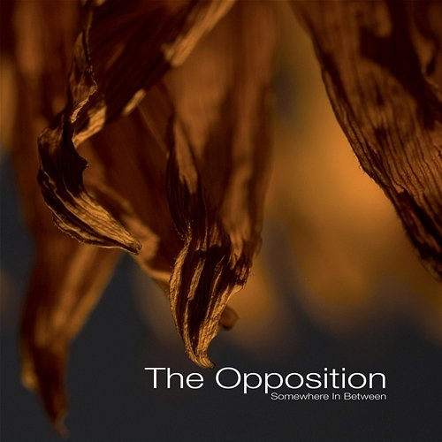 Somewhere In Between The Opposition
