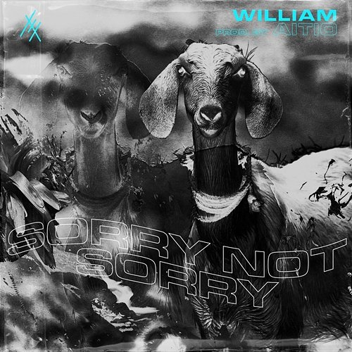 sorrynotsorry William