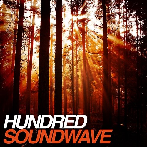Soundwave Hundred