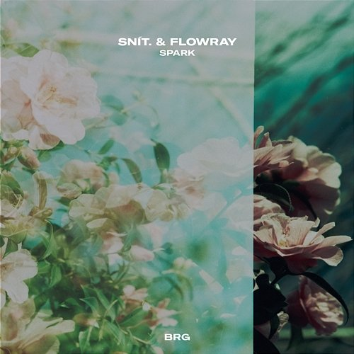 spark snít., flowray & BRG Beats
