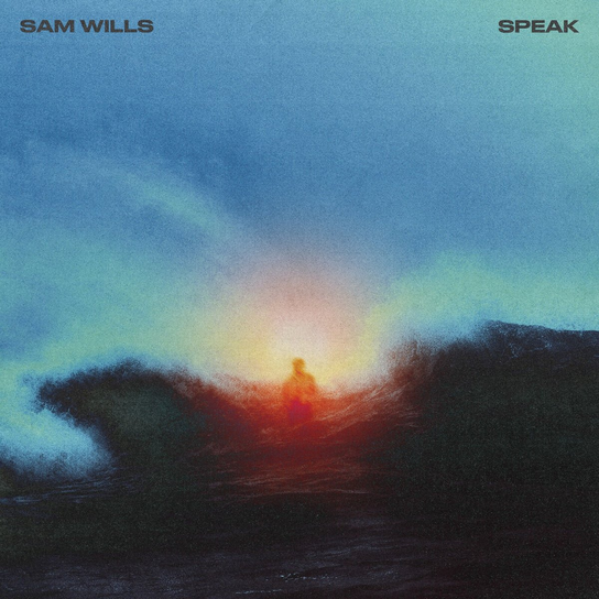 Speak, płyta winylowa Wills Sam