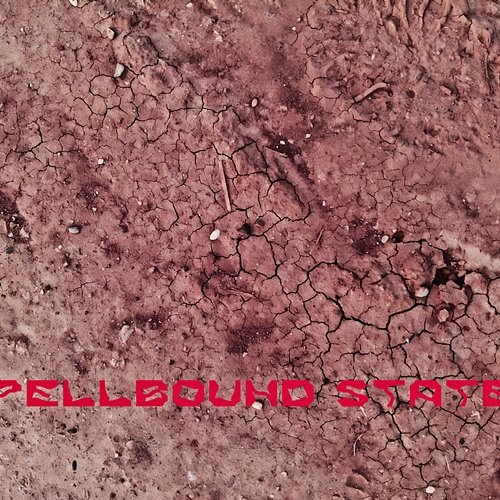 Spellbound States George Devos