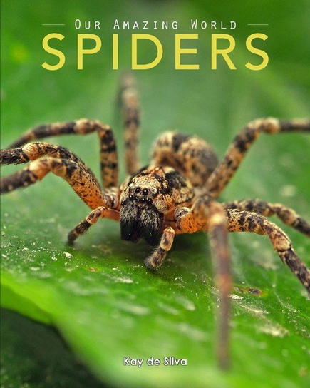 Spiders de Silva Kay