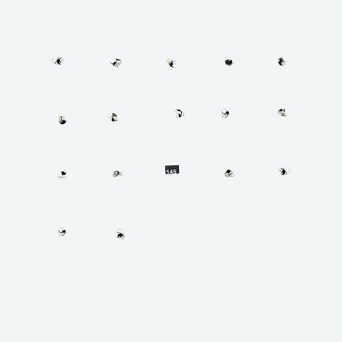 Split Series #16 Avey Tare