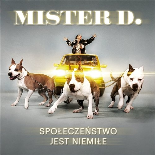 Prezydent Mister D.
