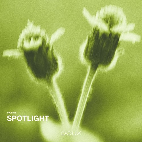 Spotlight Solenne