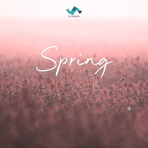 Spring NS Records