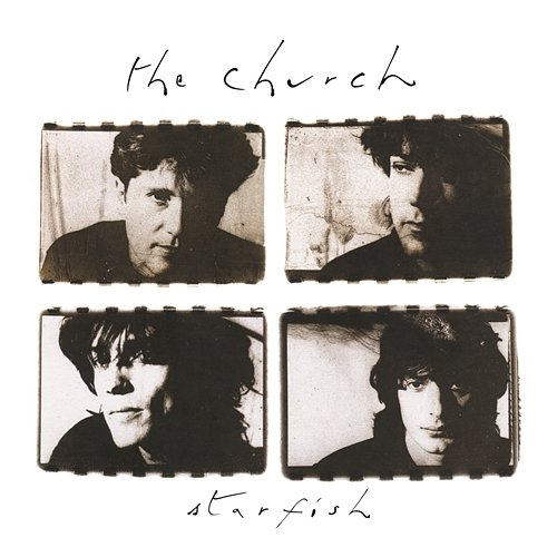Starfish The Church