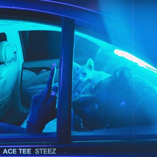 STEEZ Ace Tee