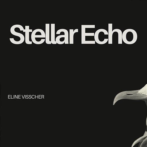 Stellar Echo Eline Visscher