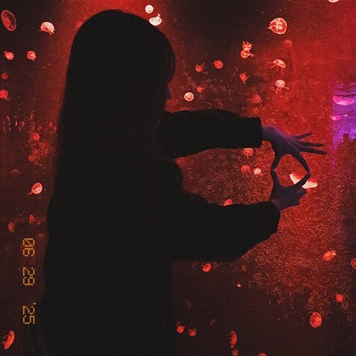 Still Jae Kyung