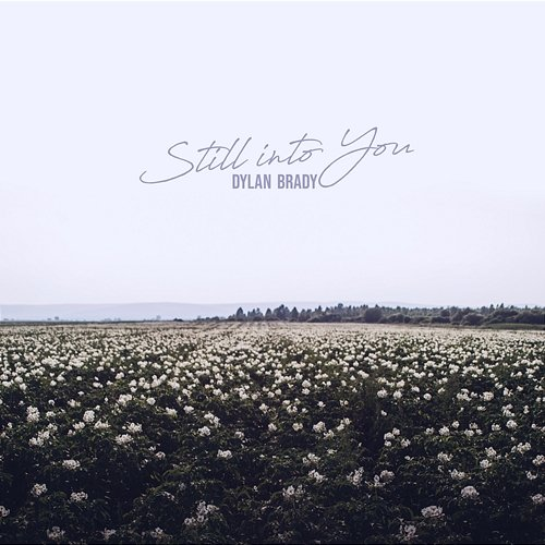 Still Into You Dylan Brady