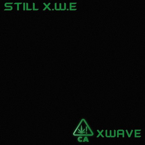 STILL (X.W.E) X WAVE, Kardo, BANGWHITE