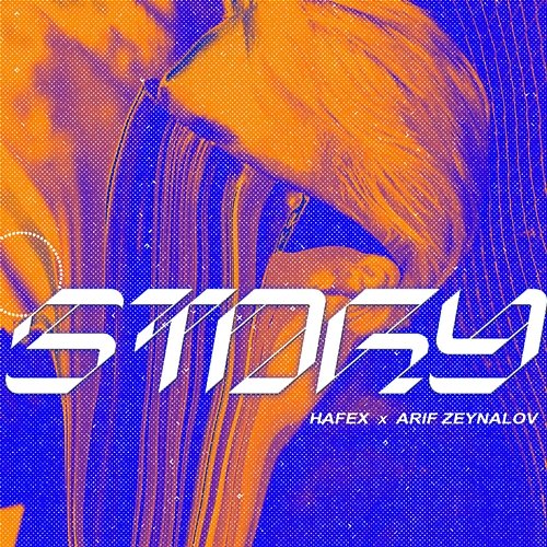 Story Arif Zeynalov, Hafex