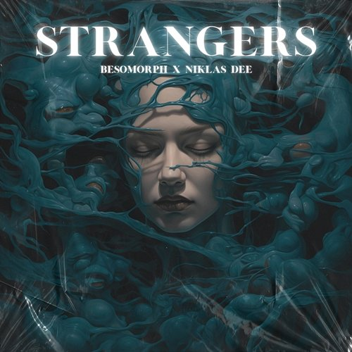 Strangers Besomorph, Niklas Dee feat. HALUNA