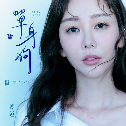 Stray Dog 楊婷婭 Milly Yang