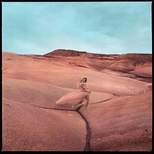 Strays Margo Price