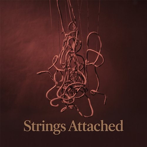 Strings Attached Slow Birds
