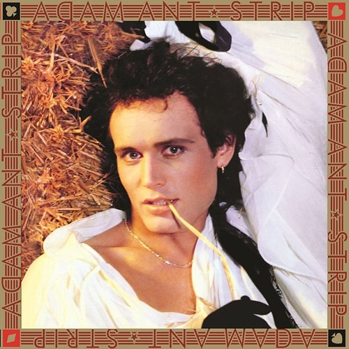 Strip Adam Ant
