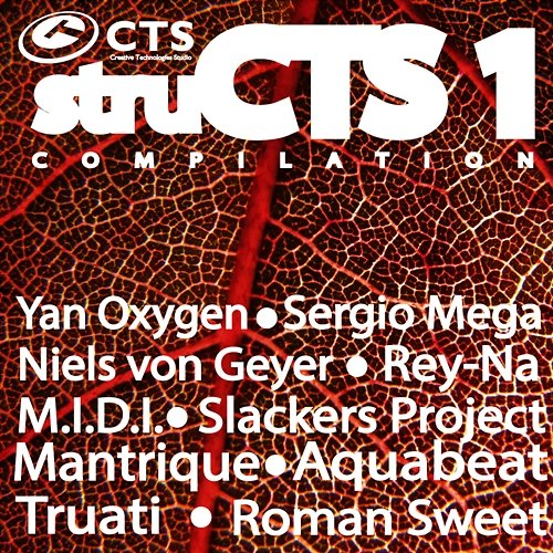 Structs Vol.1 Various Artists