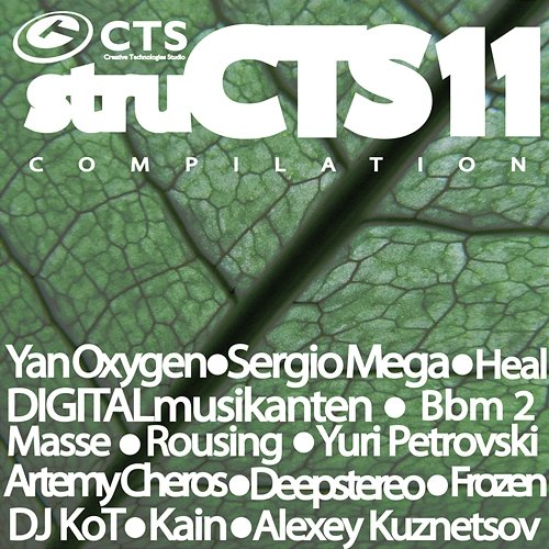 Structs Vol.11 Various Artists