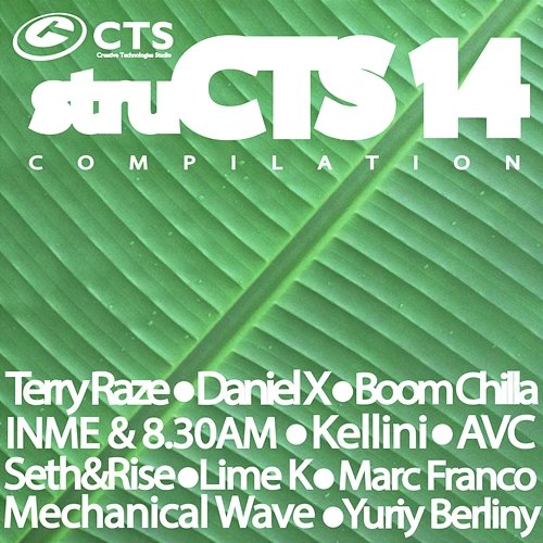 Structs Vol.14 Various Artists