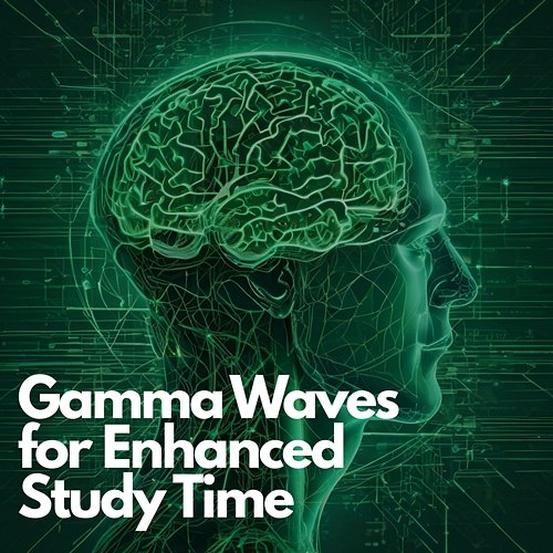 Study Frequency: Gamma Waves for Enhanced Study Time Deep Concentration Gamma Waves TP, Study Gamma Frequencies TP