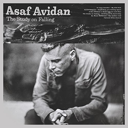 Study On Falling Avidan Asaf