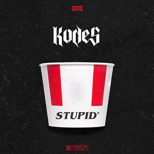 Stupid Kodes
