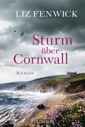 Sturm über Cornwall Goldmann Verlag