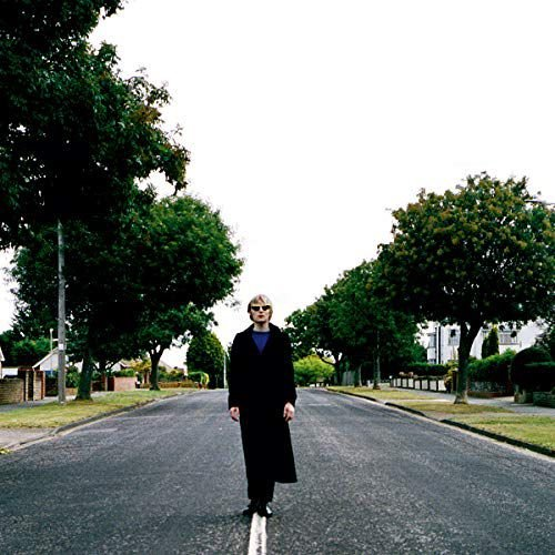 Subsuburbia Lyons Dan