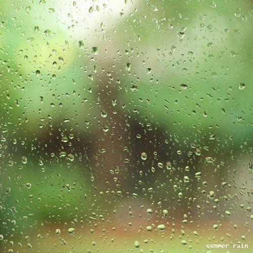 Summer rain August moonlight