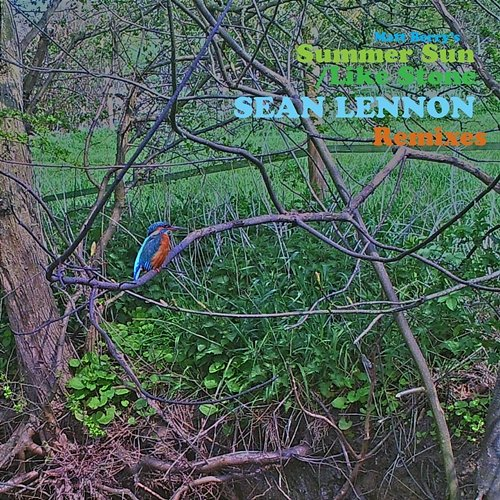 Summer Sun Matt Berry