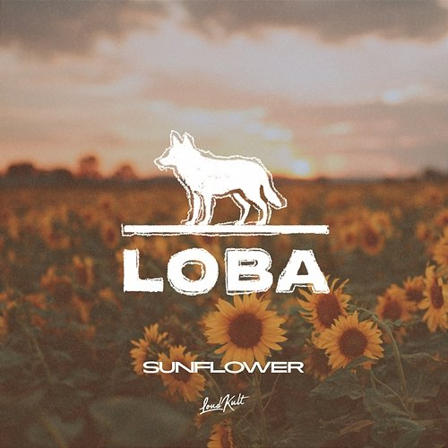 Sunflower Loba