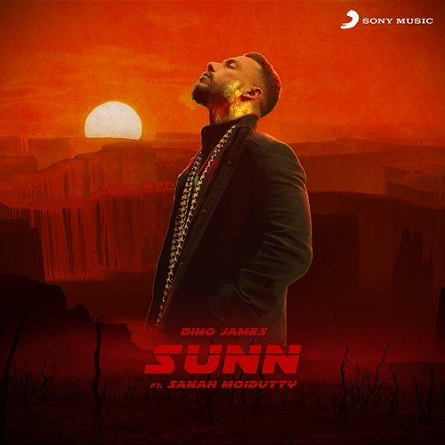 Sunn Dino James & Sanah Moidutty