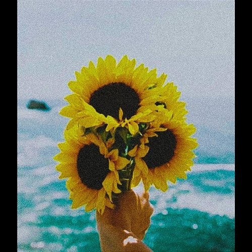 Sunshine SIIMBAD