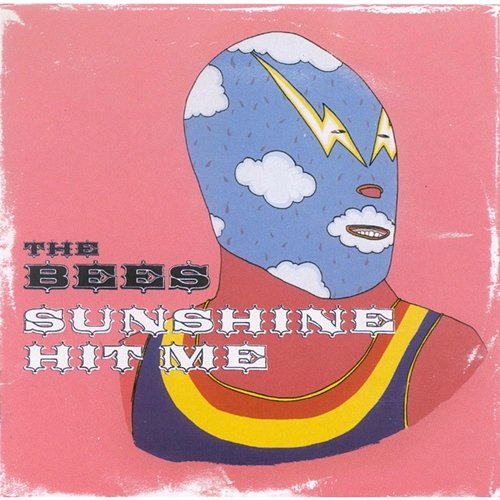 Sunshine Hit Me The Bees