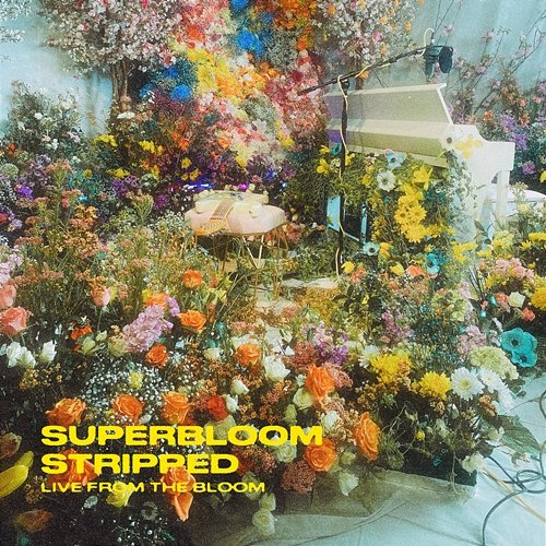 SUPERBLOOM (stripped) MisterWives