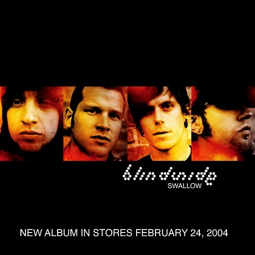 Swallow Blindside