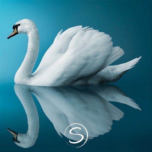 Swan Dance Soothly