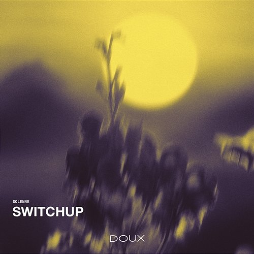 Switchup Solenne