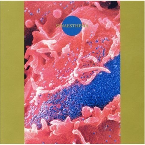 Synaesthesia Death Ambient