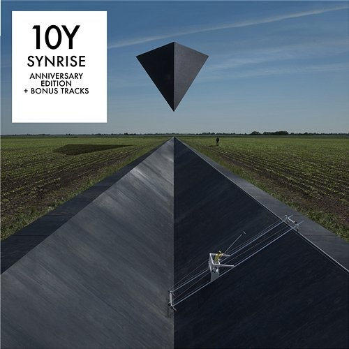 Synrise Goose