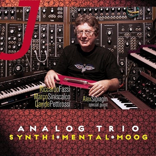 Synthi Mental Moog Analog Trio