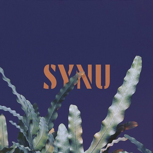Synu Mikromusic
